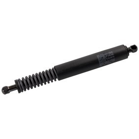 Heckklappendämpfer von FEBI BILSTEIN