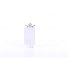 Acquista Valvola espansione climatizzatore da NISSENS 999251 a buon mercato per soli 30,04 €