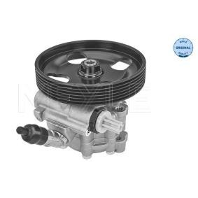 Compre Bomba de direção de MEYLE online para C5 III Carrinha (RW_) a preços moderados