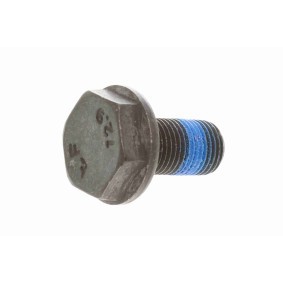 Schwungradschraube V10-5834