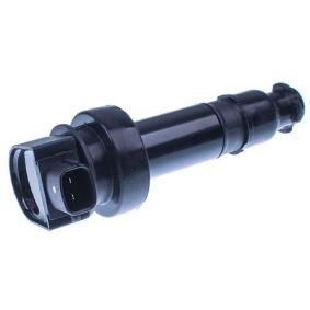 Zündspule E100054