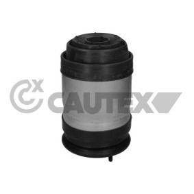 Acquista Molla pneumatica da CAUTEX 752888 a buon mercato per soli 393,66 €