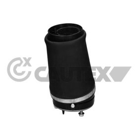 Acquista Molla pneumatica da CAUTEX 752995 a buon mercato per soli 387,11 €