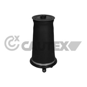 Acquista Molla pneumatica da CAUTEX 753484 a buon mercato per soli 277,21 €