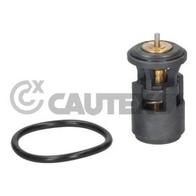 Achetez des Thermostat CAUTEX 766541 à prix pour 51,24 €