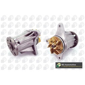 Achetez des Pompe à eau BGA CP3303 à prix pour 117,10 €
