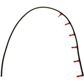 Schlauch, Leckkraftstoff R19076