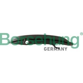 Gleitschiene, Steuerkette von Borsehung