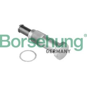 Compre Tensor de cadena de distribución de Borsehung online para Z4 Roadster (E89) a precios moderados