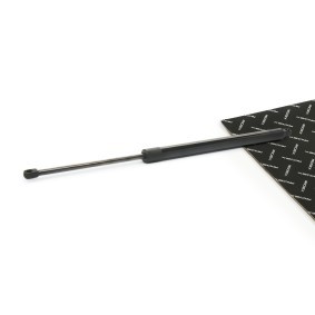 Achetez des Vérin de coffre RIDEX 219G1048 à prix pour 34,42 €
