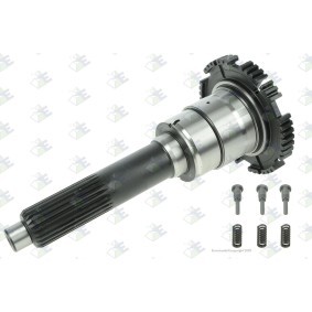 Acquista Albero primario, Cambio manuale da Euroricambi 88531216 a buon mercato per soli 449,57 €