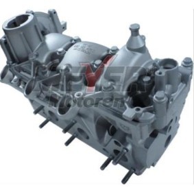 Compre Cabeça do motor da MEYER MOTOREN 013021700 a um preço baixo por 975,64 €