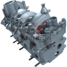 Zylinderkopf 013021890 von MEYER MOTOREN günstig für 978,99 € online kaufen