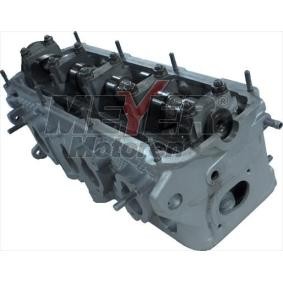 Zylinderkopf 013027390 von MEYER MOTOREN günstig für 814,14 € online kaufen