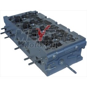 Zylinderkopf 013038500 von MEYER MOTOREN günstig für 1151,71 € online kaufen