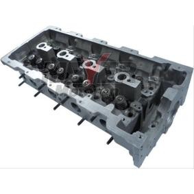 Zylinderkopf 053033290 von MEYER MOTOREN günstig für 1085,39 € online kaufen