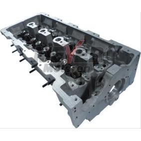 Zylinderkopf 053033990 von MEYER MOTOREN günstig für 1085,39 € online kaufen