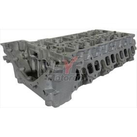 Zylinderkopf 053035110 von MEYER MOTOREN günstig für 1085,39 € online kaufen
