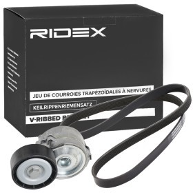 Achetez des Kit de courroie d'accessoire de chez RIDEX en ligne pour C-Max II (DXA/CB7, DXA/CEU) à prix modérés
