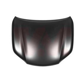 Motorhaube 5488660
