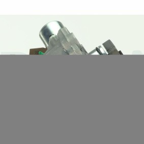 Achetez des Pompe à injection DELPHI 28417271 à prix pour 779,38 €
