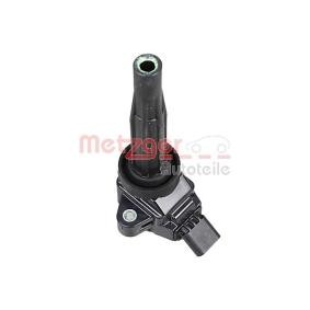 Acquista Bobina d'accensione da METZGER 0880479 a buon mercato per soli 66,59 €