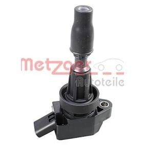 Acquista Bobina d'accensione da METZGER 0880481 a buon mercato per soli 61,26 €