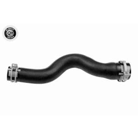 Compre Tubo flexível do radiador da VAICO V22-0743 a um preço baixo por 16,44 €