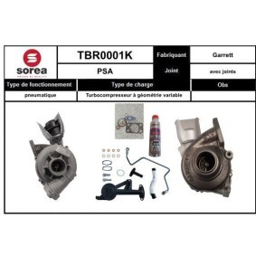 Turbolader TBR0001K für C-MAX (DM2) für 425,25 CHF
