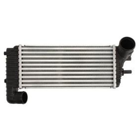 Köp Intercooler av THERMOTEC DAG025TT till det låga priset 1012,16 kr