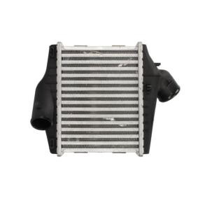 Köp Intercooler av THERMOTEC DAM027TT till det låga priset 1000,29 kr
