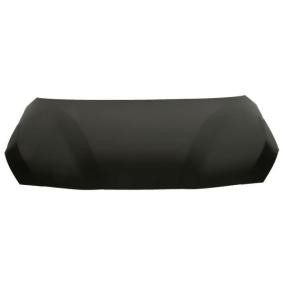 Motorhaube 6803-00-0071280P