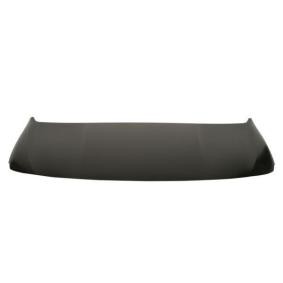 Motorhaube 6803-00-0554280P