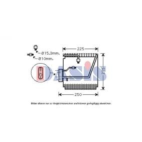 Verdampfer, Klimaanlage 820275N