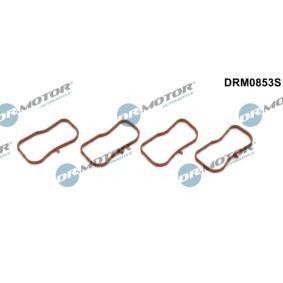 Dichtungssatz, Ansaugkrümmer DRM0853S