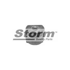 Acquista Supporto braccio oscillante da STORM QUALITY PARTS F1098 a buon mercato per soli 10,85 €