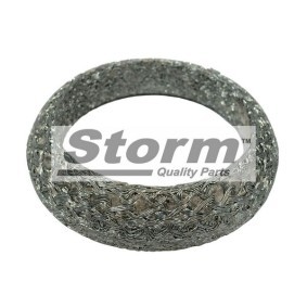 Køb Montagesæt, udstødning af STORM QUALITY PARTS F1678 til den lave pris 21,39 DKK