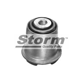 Acquista Supporto braccio oscillante da STORM QUALITY PARTS F1976 a buon mercato per soli 9,97 €