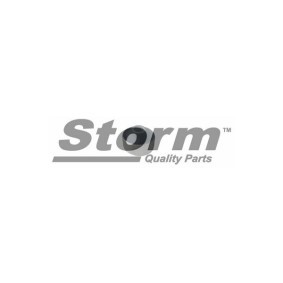 Acquista Supporto braccio oscillante da STORM QUALITY PARTS F2022 a buon mercato per soli 9,97 €