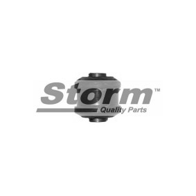 Acquista Supporto braccio oscillante da STORM QUALITY PARTS F2843 a buon mercato per soli 8,22 €