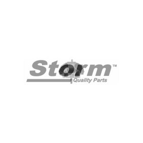 Lagerung, Schaltgetriebe für RENAULT von STORM QUALITY PARTS
