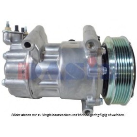 Achetez des Compresseur de climatisation AKS DASIS 851613N à prix pour 219,89 €