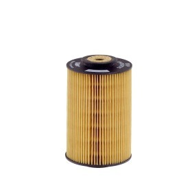 Comprar Filtro combustible de HENGST FILTER E5KP D12 a bajo precio de 7,97 €
