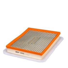 Kjøp Luftfilter av HENGST FILTER E605L til den lave prisen 168,63 NOK
