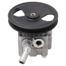 Acquista Pompa idraulica, sterzo da ENERGY PW6728 a buon mercato per soli 147,96 €
