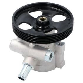 Acquista Pompa idraulica, sterzo da ENERGY PW680130 a buon mercato per soli 75,30 €