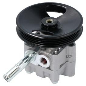 Acquista Pompa idraulica, sterzo da ENERGY PW680188 a buon mercato per soli 81,95 €