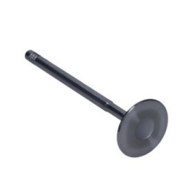 Compre Válvula de drenagem da AMP PFOR013-A-0-N a um preço baixo por 17,97 €