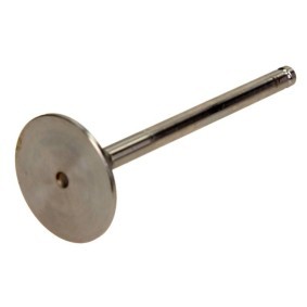 Comprar Válvula de admisión de AMP PIVE005-S-0-D a bajo precio de 13,68 €