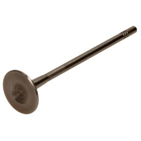 Acquista Valvola di scarico da AMP POPE120-B-0-N a buon mercato per soli 18,30 €